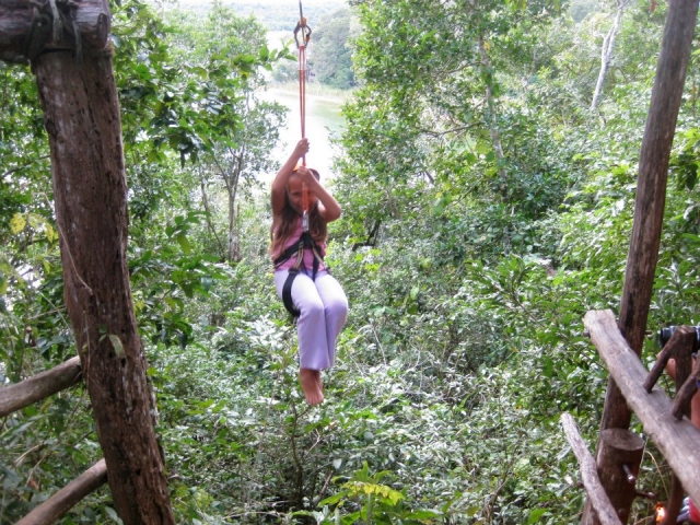 Volando en la selv